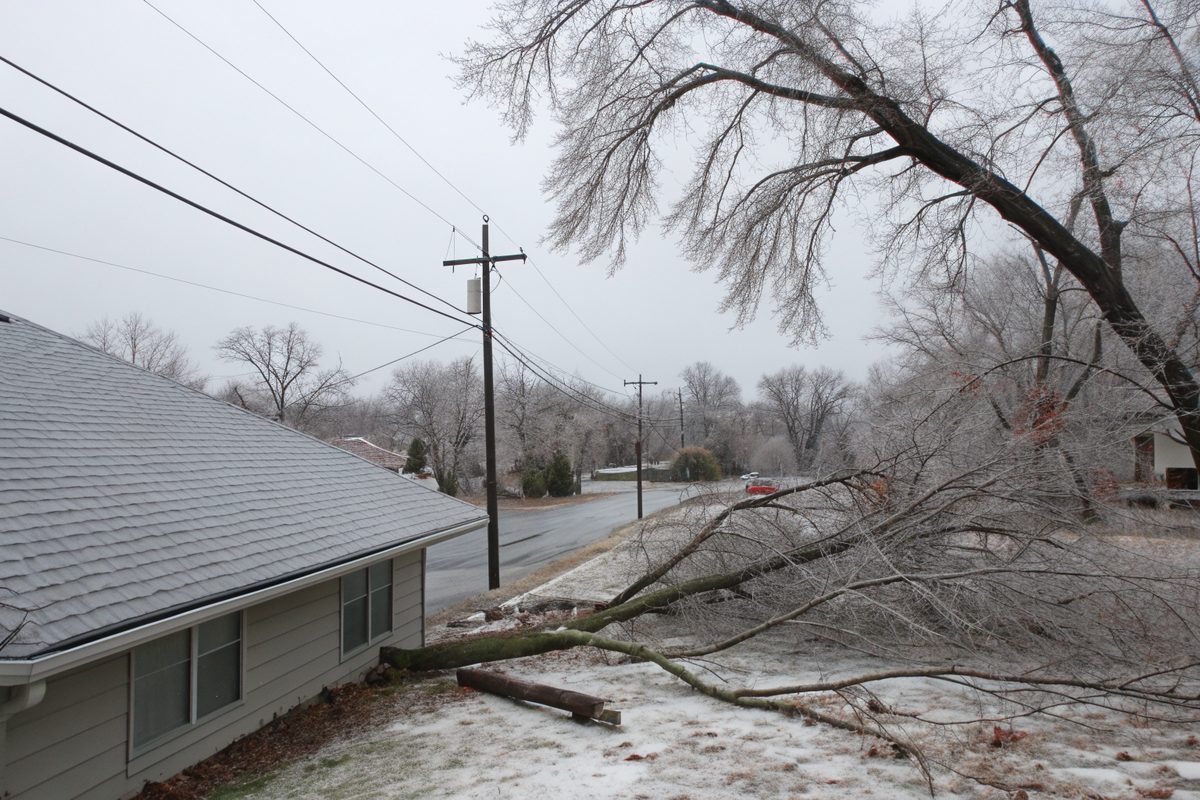 Ice-coated branches and power lines over the edge of a shingle roof after an ice storm